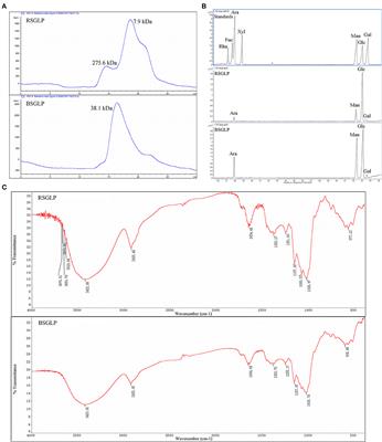 Removing the sporoderm from the sporoderm-broken spores of Ganoderma lucidum improves the anticancer and immune-regulatory activity of the water-soluble polysaccharide